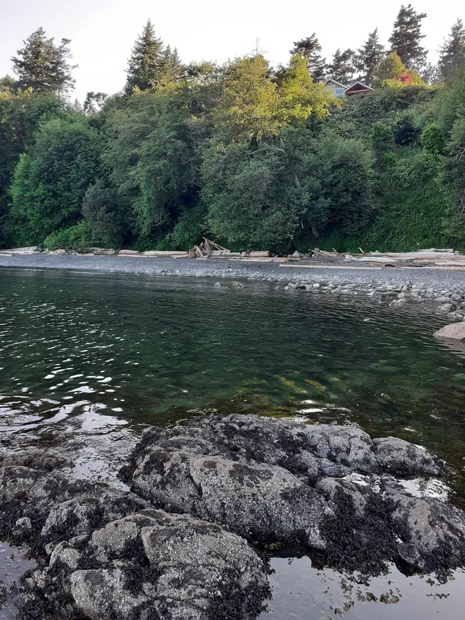 Arbutus Cove & Gordon Head Beach Park