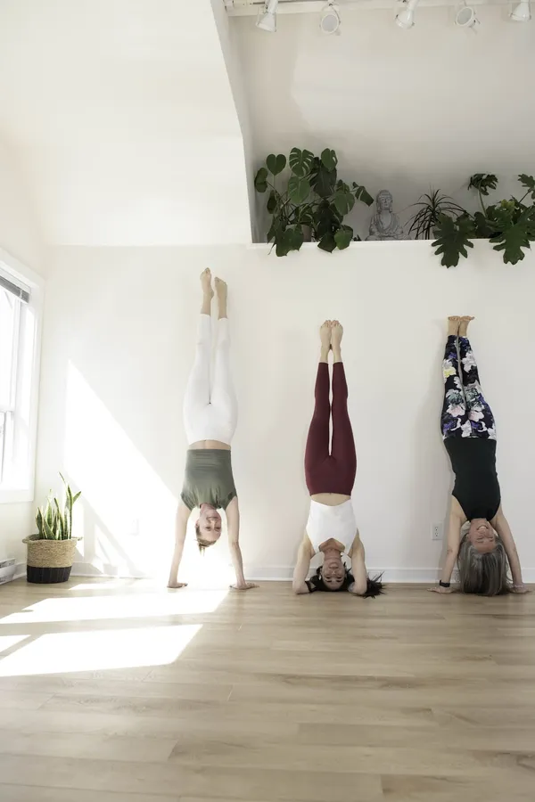 Muse Mind & Body Studio