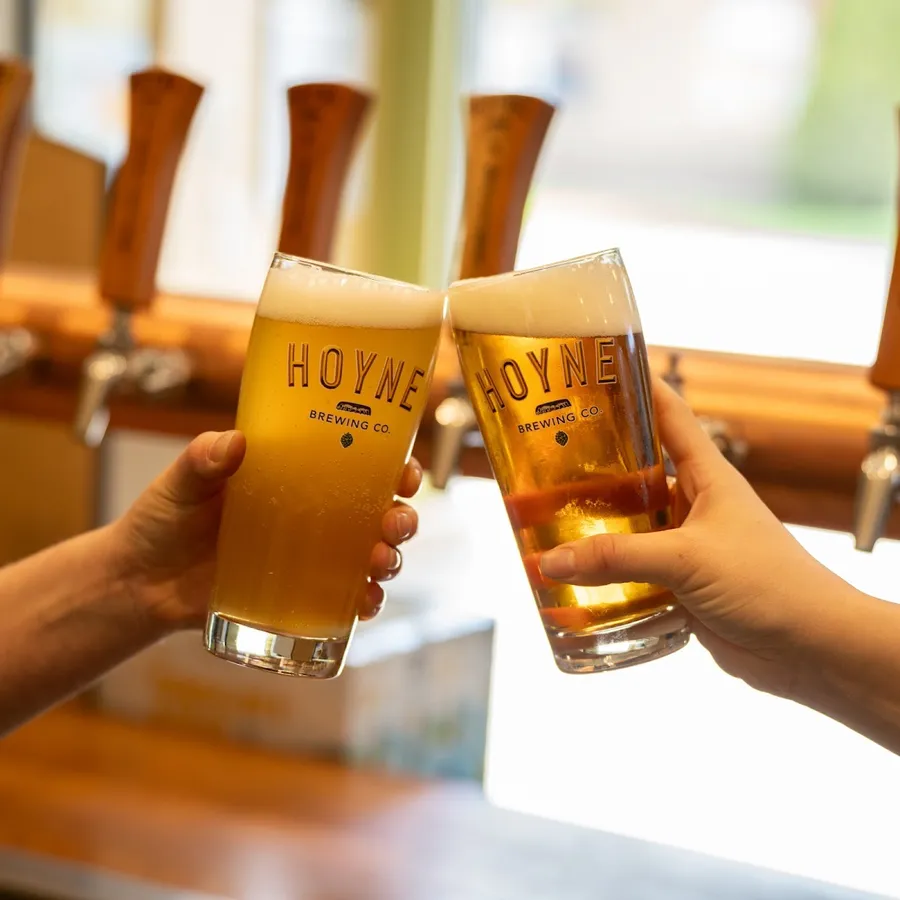 Hoyne Brewing Company