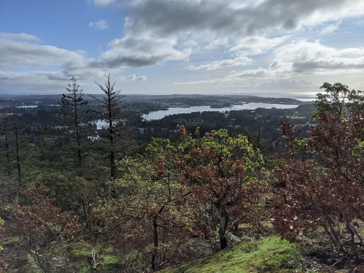 Mill Hill Regional Park