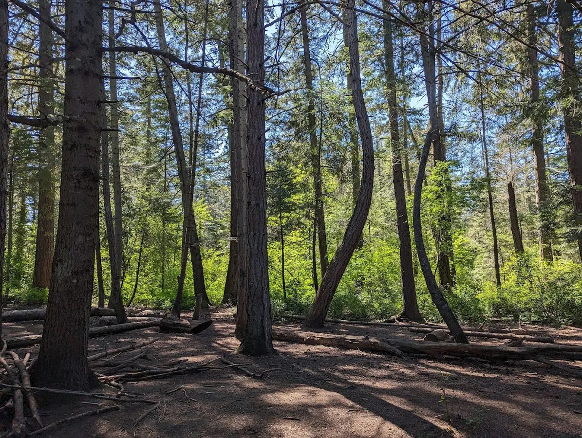 Cuthbert Holmes Park