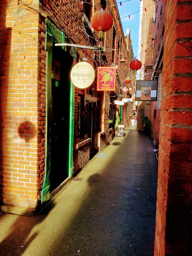 Turtle Express Designs