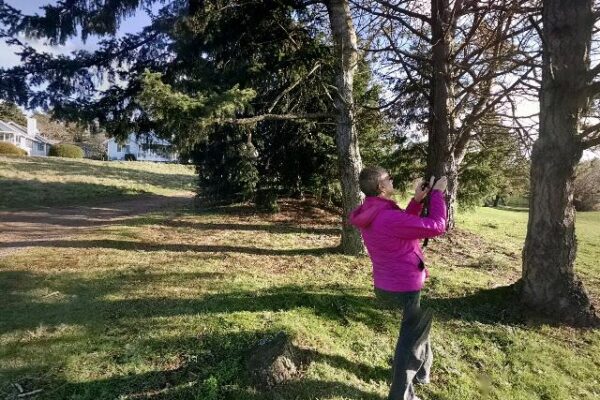 The Derby Restaurant