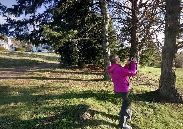 The Derby Restaurant