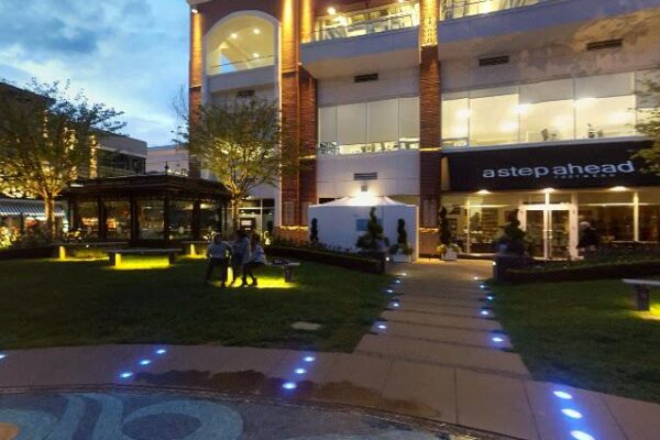 Puerto Vallarta Amigos