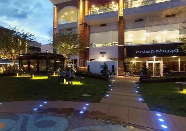 Puerto Vallarta Amigos