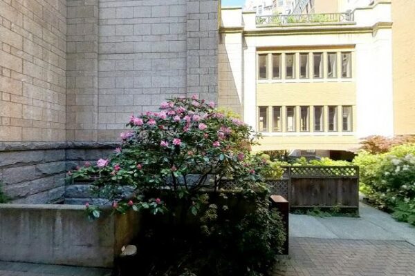 Collections by 5th Avenue