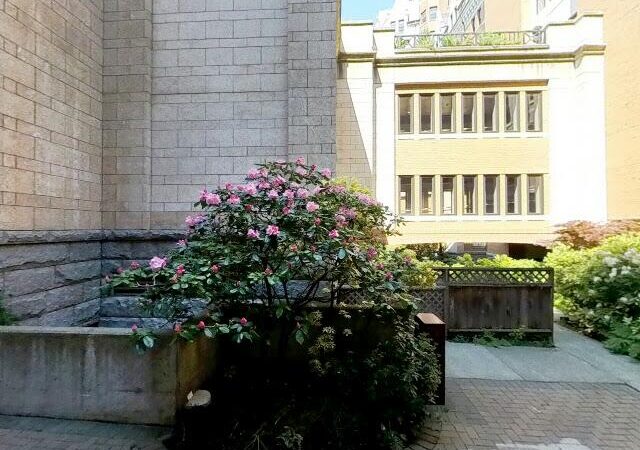 Collections by 5th Avenue