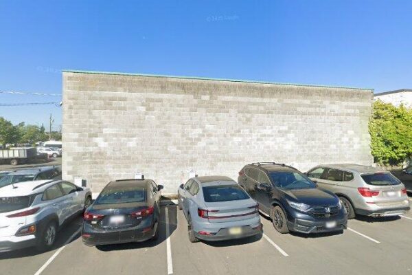 Bullfrog Transmissions