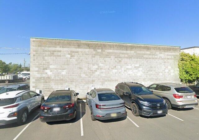 Bullfrog Transmissions