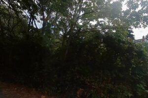 The First Auspicious Feng Shui Site in Canada