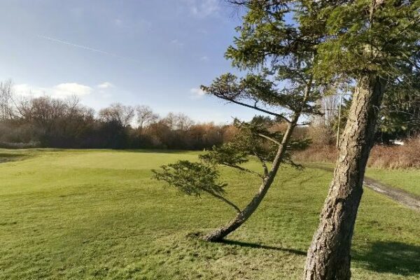 Cedar Hill Park & Golf Course