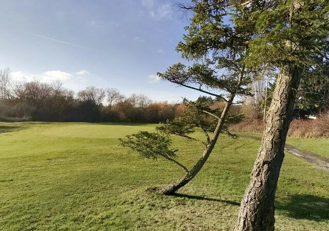 Cedar Hill Park & Golf Course