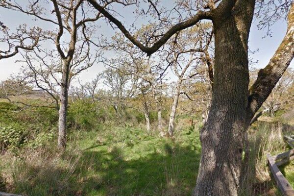 Gonzales Hill Regional Park