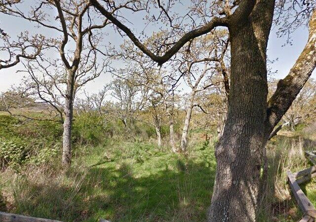 Gonzales Hill Regional Park