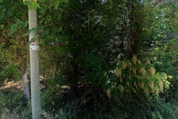 Ferndale Forest Park