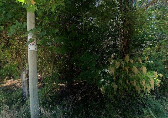 Ferndale Forest Park