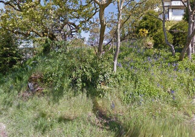 Highview Street Park