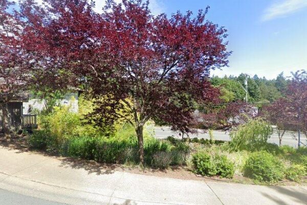 Selwyn Falls Park South