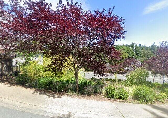 Selwyn Falls Park South