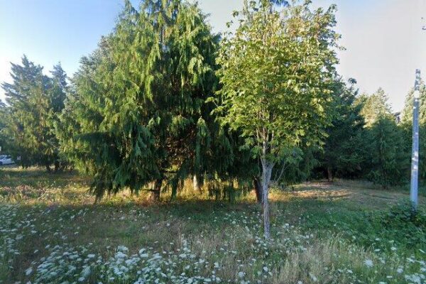 Cecelia Creek Falls Park