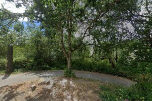 Florence Lake Road Park