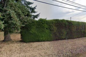 Victoria Landscaping Ltd.