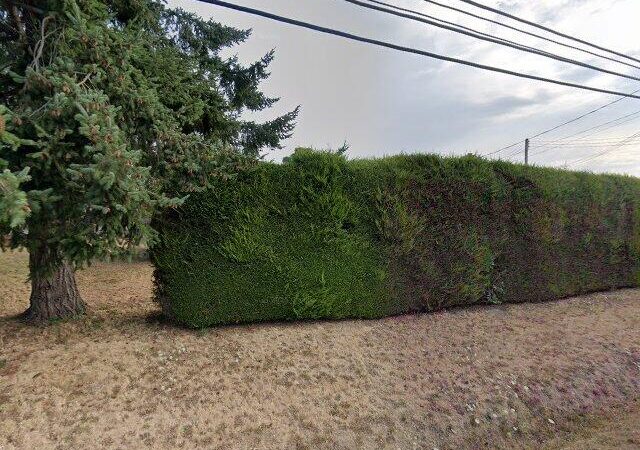 Victoria Landscaping Ltd.